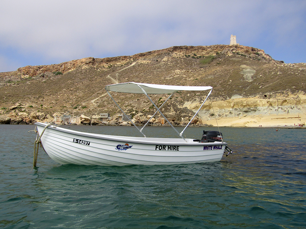 10Hp Self Drive Boat